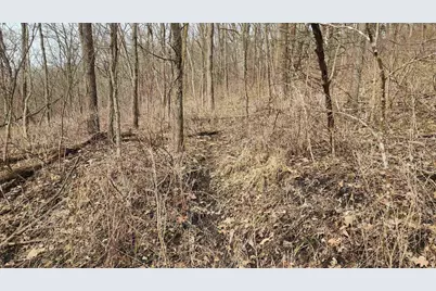 0000 Vineyard Road, Prairie Du Chien, WI 53821 - Photo 17