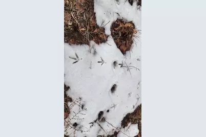 0000 Vineyard Road, Prairie Du Chien, WI 53821 - Photo 41