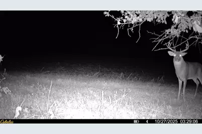 0000 Vineyard Road, Prairie Du Chien, WI 53821 - Photo 39