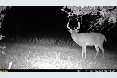 0000 Vineyard Road, Prairie Du Chien, WI 53821 - Photo 37