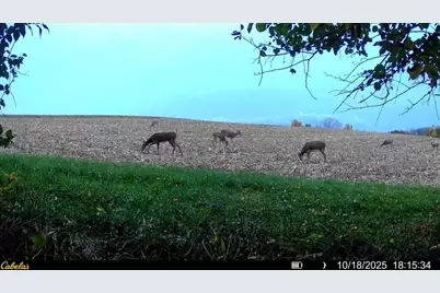 0000 Vineyard Road, Prairie Du Chien, WI 53821 - Photo 35