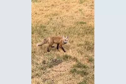 219 James Street, Portage, WI 53901 - Photo 7