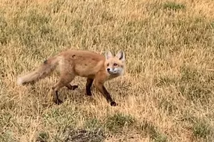 219 James St, Portage, WI 53901 - Photo 7