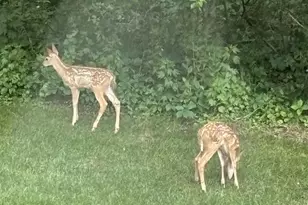 219 James St, Portage, WI 53901 - Photo 9