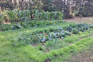 E11616 N Reedsburg Rd, Baraboo, WI 53913 - Photo 65