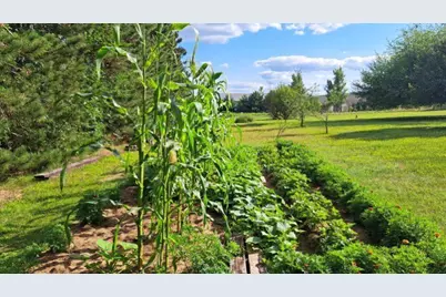 E11616 N Reedsburg Road, Baraboo, WI 53913 - Photo 63