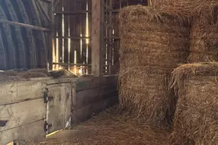 W12881 Sheldon Rd, Brandon, WI 53919 - Photo 61