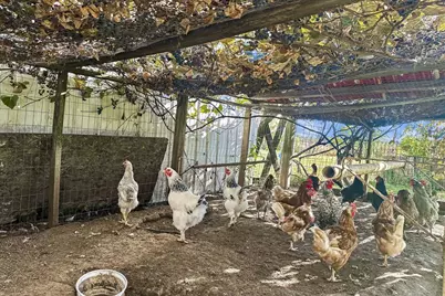 10819 N Highway 14, Brooklyn, WI 53521 - Photo 49