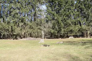 N8582 Pine Rd, Beaver Dam, WI 53916 - Photo 45