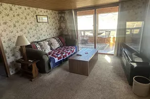 7062 Baker Rd, Arena, WI 53503 - Photo 5