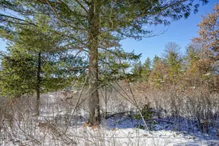 W4703 28th St, Necedah, WI 54646 - Photo 77