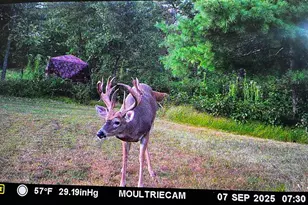 W4703 28th St, Necedah, WI 54646 - Photo 89