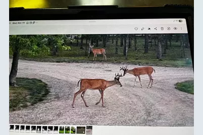 W4703 28th Street, Necedah, WI 54646 - Photo 87