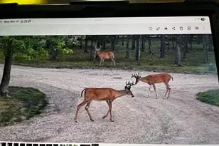 W4703 28th St, Necedah, WI 54646 - Photo 87