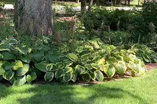 3341 N Chaucer Ct, Janesville, WI 53545 - Photo 73