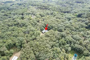 N583 Fawn Ln, Coloma, WI 54930 - Photo 41