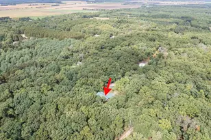 N583 Fawn Ln, Coloma, WI 54930 - Photo 43