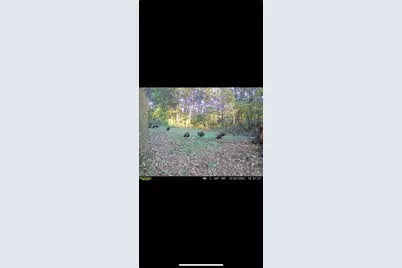 14177 Irish Ridge Road, Mount Hope,  53816 - Photo 47