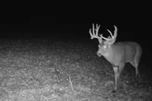 14177 Irish Ridge Rd, Mount Hope,  53816 - Photo 49