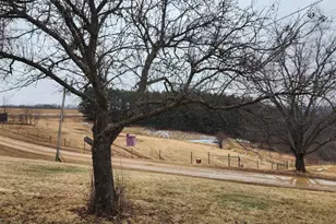 14177 Irish Ridge Rd, Mount Hope,  53816 - Photo 35