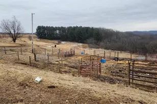 14177 Irish Ridge Rd, Mount Hope,  53816 - Photo 45