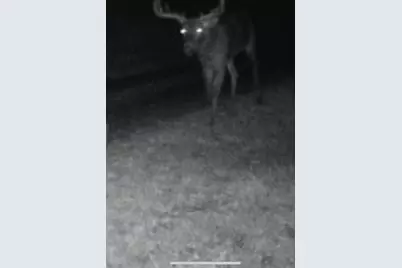 14177 Irish Ridge Road, Mount Hope,  53816 - Photo 51