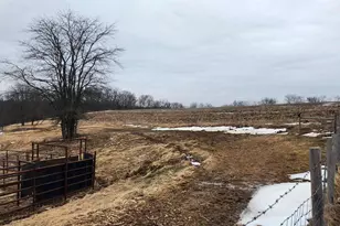 14177 Irish Ridge Rd, Mount Hope,  53816 - Photo 41