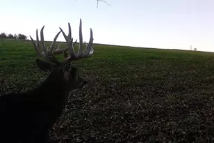 14177 Irish Ridge Rd, Mount Hope,  53816 - Photo 55