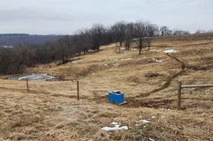 14177 Irish Ridge Rd, Mount Hope,  53816 - Photo 37