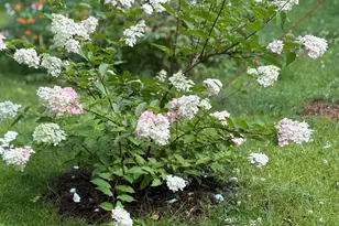 W5807 Robinson Rd, Tomahawk, WI 54487 - Photo 29