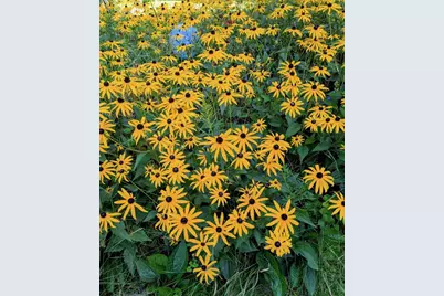 551 W Grouse Road, Gleason, WI 54435 - Photo 49