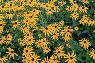 551 W Grouse Rd, Gleason, WI 54435 - Photo 49