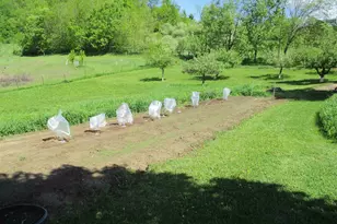 30694 County W Rd, Elroy, WI 53929 - Photo 71