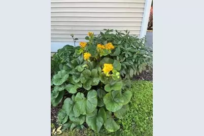 12 Oak Creek Trail, Madison, WI 53717 - Photo 61