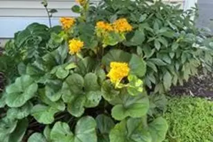 12 Oak Creek Trail, Madison, WI 53717 - Photo 61