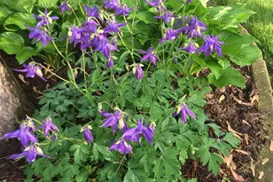 414 Woodview Dr, Sun Prairie, WI 53590 - Photo 69