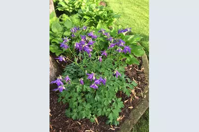 414 Woodview Drive, Sun Prairie, WI 53590 - Photo 67