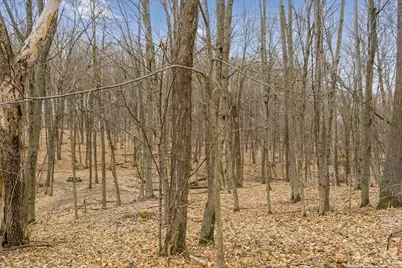 E10919 Hatchery Road, Baraboo, WI 53913 - Photo 67