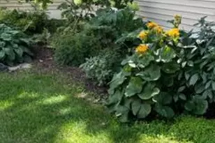 12 Oak Creek Trail, Madison, WI 53717 - Photo 61