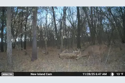 1001 Highway 33, Portage, WI 53901 - Photo 89