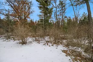 1139A S Buttercup Ct, Friendship, WI 53934 - Photo 33