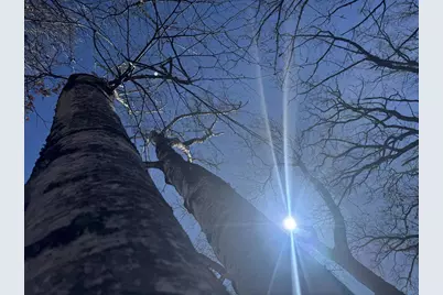 1 Cedar Trail #1, Wisconsin Dells, WI 53965 - Photo 11