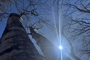 1 Cedar Trail, Wisconsin Dells, WI 53965 - Photo 11