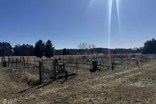 1 Cedar Trail, Wisconsin Dells, WI 53965 - Photo 13