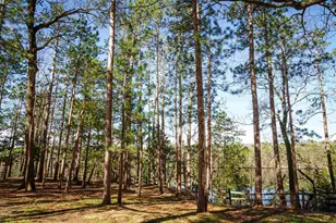 1 Cedar Trail, Wisconsin Dells, WI 53965 - Photo 29