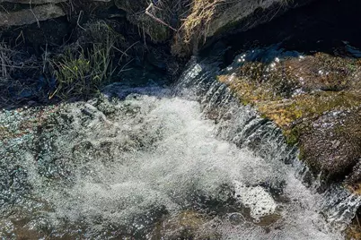 3265 Bergum Road, Mount Horeb, WI 53572 - Photo 77