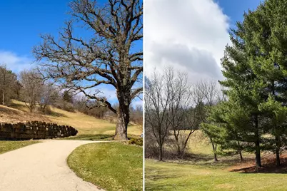 3265 Bergum Road, Mount Horeb, WI 53572 - Photo 81