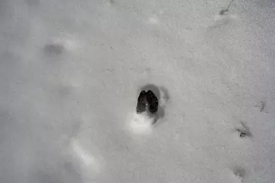 Lot 2 18th Street, Necedah, WI 54646 - Photo 5