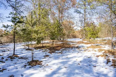 Lot 2 18th Street, Necedah, WI 54646 - Photo 17