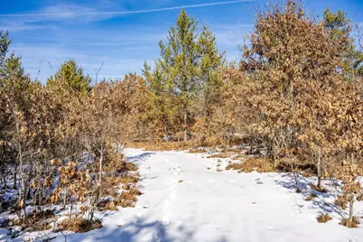 Lot 2 18th Street, Necedah, WI 54646 - Photo 27